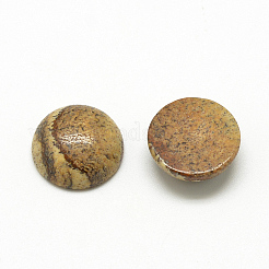 Cabochons en jaspe avec motif naturel&nbsp;G-R416-10mm-42