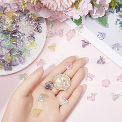 360 шт. двухцветные прозрачные акриловые колпачки для бусин&nbsp;TACR-SC0001-24