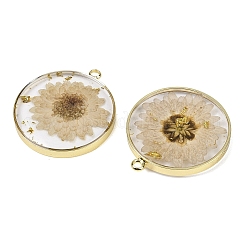 Подвески из прозрачной эпоксидной смолы&nbsp;RESI-XCP0002-33