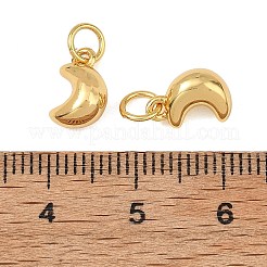 Breloques en laiton&nbsp;KK-F941-21G