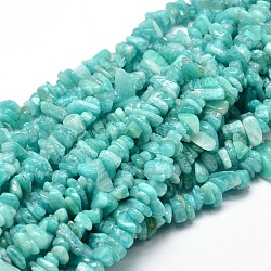 Amazonite naturelle perles de puce brins, 5~14x4~10mm, Trou: 1mm, environ 15.5 pouce ~ 16.1 pouces