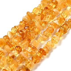 Ambre naturel perles puce brins, 5~8x5~8mm, Trou: 0.8mm, 16.14 pouce (41 cm)
