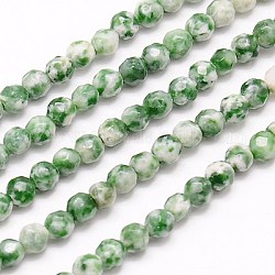Natürliche grüne Fleck Jaspis Perlen Stränge, facettiert, Runde, grün, 4 mm, Bohrung: 1 mm, ca. 90 Stk. / Strang, 15.35 Zoll
