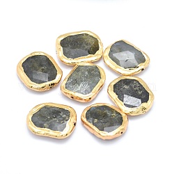 Perle di labradorite naturale, bordo placcato oro, sfaccettato, ovale, 22~25x25~30x6~9mm, Foro: 0.8~1 mm