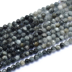 Fili di perle di occhio di falco naturale, pietra occhio d'aquila, sfaccettato, tondo, 3mm, Foro: 0.6 mm, circa 128pcs/filo, 15.16 pollice (38.5 cm)