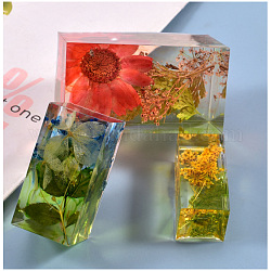 Stampi in silicone riempito di cuboide, per epossidico caricato, diorama, fiore essiccato, artigianato di decorazione di esemplari di insetti, bianco, 46.5x77x42mm