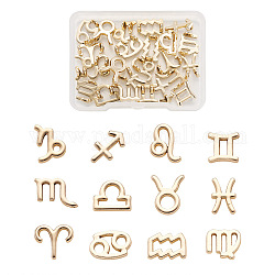 Fashewelry Alloy Charms, 12 Constellations, Light Gold, 11x12.5mm, 12pcs/set, 2 sets