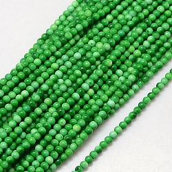 Fossiles synthétique perles rondes brins, teints et chauffée, lime green, 3mm, Trou: 1mm, Environ 133 pcs/chapelet, 15.74 pouce