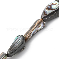 Naturelles Paua brins de perles, pépites, 15.5~23x10~14x8~9mm, Trou: 0.5mm, Environ 20 pcs/chapelet, 15.35 pouce (39 cm)