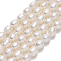 Brins de perles de culture d'eau douce naturelles, riz, linge, 6~6.5x5~5.5mm, Trou: 0.7mm, Environ 50~53 pcs/chapelet, 13.78'' (35 cm)