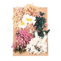 Getrocknete Blume, für die Brautdusche, Hochzeit, konservierte frische Blume, Farbig, 210x148x14~24.5 mm