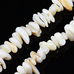 Chapelets de perles de coquille de trochid / trochus coquille, non teint, puces, 7~22x5~8x1~6.5mm, Trou: 1mm, Environ 96~111 pcs/chapelet, 14.37 pouce ~ 15.75 pouces (36.5 cm ~ 40 cm)