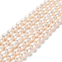 Natural Cultured Freshwater Pearl Beads Strands, Rice, Grade 2A, Linen, 7~8x7mm, Hole: 0.7mm, about 41~42pcs/strand, 14.17~14.37 inch(36~36.5cm)