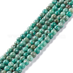Chapelets de perles maifanite/maifan naturel pierre , teinte, ronde, verte, 4~4.5mm, Trou: 1mm, Environ 91~100 pcs/chapelet, 14.96~15.35 pouce (38~39 cm)