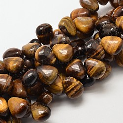 Perles en forme de larme naturelle, 18x15x10mm, Trou: 1mm