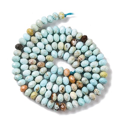 Природные Говлит бисер нитей&nbsp;X-G-H025-03C-09-1