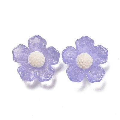 Transparente Harzcabochons&nbsp;RESI-CJC0013-04-1