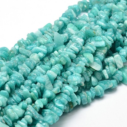 Natural Amazonite Chip Beads Strands X-G-E271-76-1