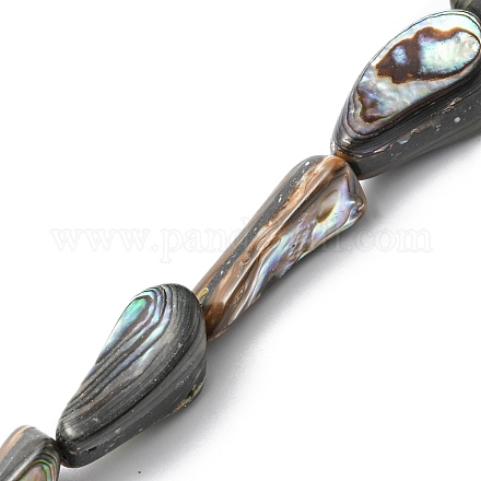 Natur Paua Muschel Perlen Stränge SHEL-F006-01-1