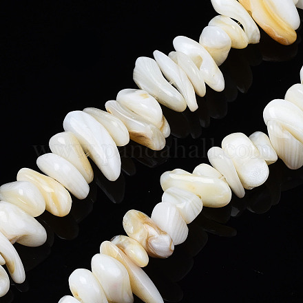 Fili di perle di conchiglia trochid naturale / trochus X-SHEL-S258-080-A01-1