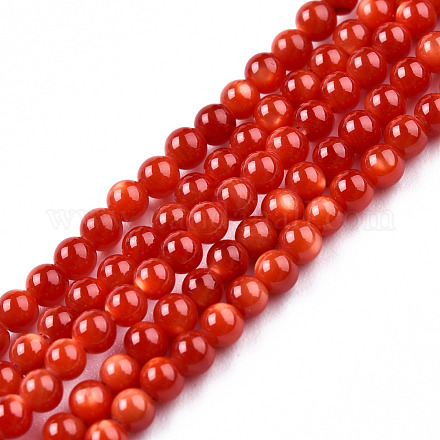 Natural Freshwater Shell Beads Strands SHEL-N026-205A-01-1
