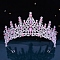 Alloy Rhinestone Crown Hair Bands for Woman Girls, Wedding Party Decoration, Rose, 140mm