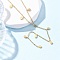 304 Stainless Steel Teardrop Tassel Y Necklaces, Ion Plating(IP), Real 18K Gold Plated, 16.14 inch(41cm)