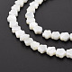 Fili di perle di conchiglia trochid naturale / trochus SSHEL-T014-43A-01-4