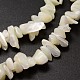 Fili di perle di conchiglia trochid naturale / trochus X-SSHEL-K014-07-3