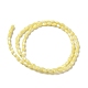 Brins de perles de coquillages naturels de troca SHEL-K006-19C-2