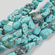 Natural Magnesite Beads Strands TURQ-G101-03-2