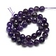Natural Faceted Amethyst Round Bead Strands G-L172-10mm-02-2
