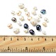 Perles nacrées en coquilles BSHE-XCP0001-06-3