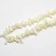 Shell normal de perles blanches de brins BSHE-O001-B-02-3