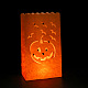 Halloween Leuchtentaschen CARB-D007-02A-4