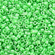 蛍光色ガラスシリンダービーズ  シードビーズ  焼き付け塗料  丸い穴  春の緑  1.5~2x1~2mm  穴：0.8mm  約8000個/袋  約1ポンド/バッグ SEED-S047-P-006-3