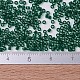 MIYUKI Delica Beads SEED-X0054-DB0713-4