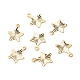 Charms in ottone KK-F831-021G-RS-1
