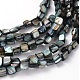 Erose Shell Beads Strands PBB070Y-1