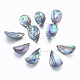 Natural Abalone Shell/Paua Shell Beads Strands SSHEL-P014-03-1