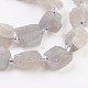 Chapelets de perles en labradorite naturelle  G-F568-018-3