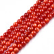 Natural Freshwater Shell Beads Strands SHEL-N026-205A-01-1