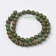 Natural Gemstone Beads Strands G-F560-8mm-A03-2