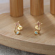 925 Sterling Silver Star Stud Earrings with Cubic Zirconia Earrings for Women EJEW-P231-45G-2
