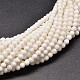 Natural Gemstone Beads Strands G-P072-25-10mm-1