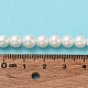 Shell fili di perle perline BSHE-L026-03-6mm-7