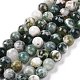 Chapelets de perles en agate d'arbre naturelle G-K194-8mm-02-2