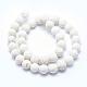 Frosted Natural Magnesite Beads Strands TURQ-G148-10-10mm-2