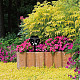 Gartenpflock aus Acryl AJEW-WH0382-005-6