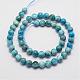 Natural Apatite Beads Strands G-D856-01-10mm-2